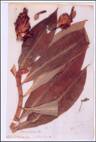Same, after conservation Same, after conservation